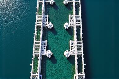 Aerial view of a clean, well-managed offshore aquaculture farm.